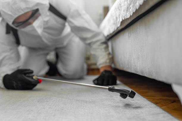 Professional Termite Control technician working in Livingston, CA