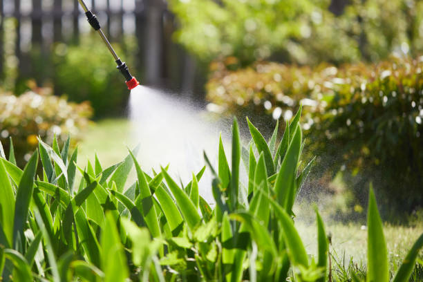24/7 Emergency Termite Control experts in Livingston, CA