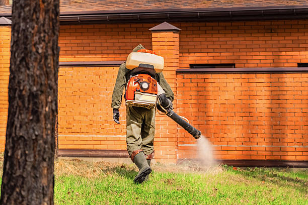 Top rated local Termite Control specialists in Livingston, CA